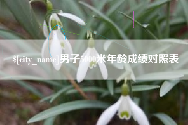 商洛男子5000米年龄成绩对照表