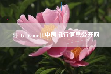 商洛1.中国执行信息公开网