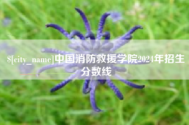 商洛中国消防救援学院2024年招生分数线