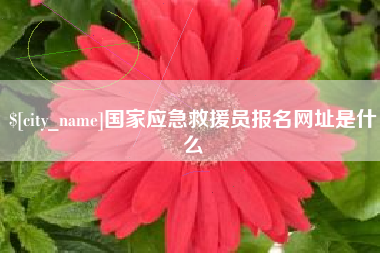 商洛国家应急救援员报名网址是什么