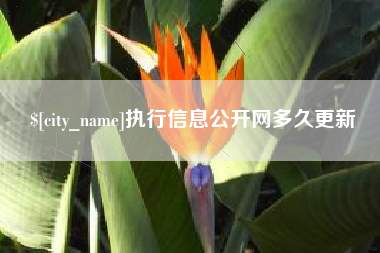 商洛执行信息公开网多久更新