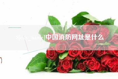 商洛中国消防网址是什么