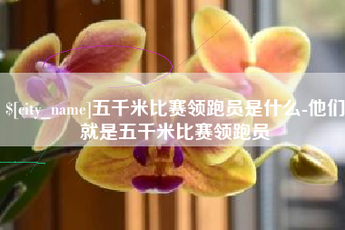 商洛五千米比赛领跑员是什么-他们就是五千米比赛领跑员