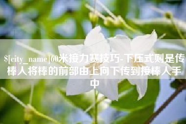 商洛60米接力赛技巧-下压式则是传棒人将棒的前部由上向下传到接棒人手中