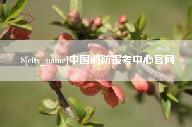 商洛中国消防报考中心官网