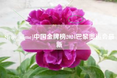 商洛中国金牌榜2024巴黎奥运会最新
