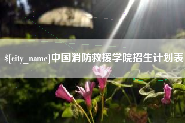商洛中国消防救援学院招生计划表