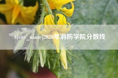 商洛2020年消防学院分数线