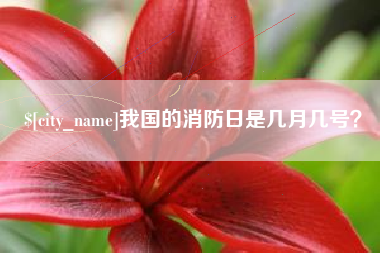 商洛我国的消防日是几月几号？