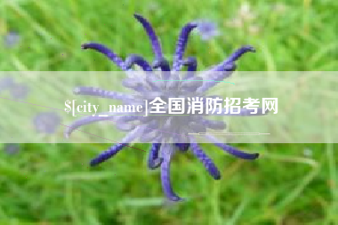 商洛全国消防招考网