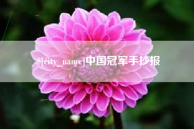 商洛中国冠军手抄报