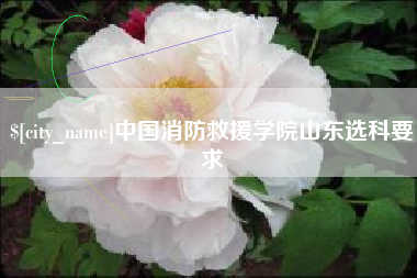 商洛中国消防救援学院山东选科要求