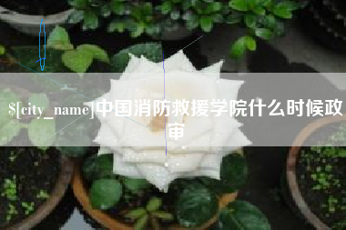 商洛中国消防救援学院什么时候政审