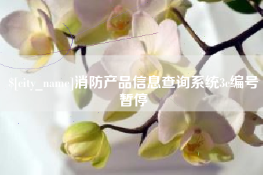 商洛消防产品信息查询系统3c编号暂停