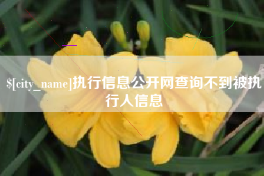 商洛执行信息公开网查询不到被执行人信息