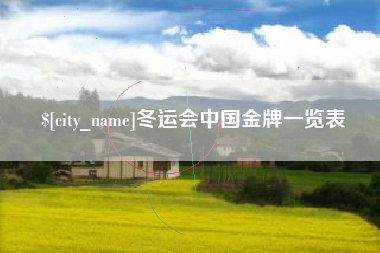 商洛冬运会中国金牌一览表