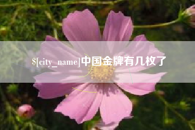 商洛中国金牌有几枚了