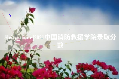 商洛2021中国消防救援学院录取分数