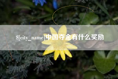 商洛中国夺金有什么奖励