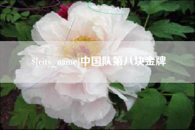 商洛中国队第八块金牌