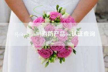 商洛消防产品ccc认证查询