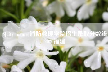 商洛消防救援学院招生录取分数线2020福建