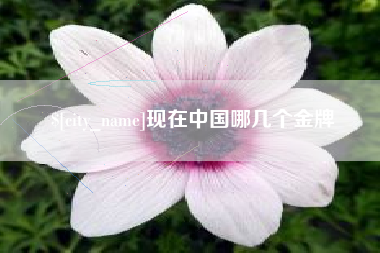 商洛现在中国哪几个金牌