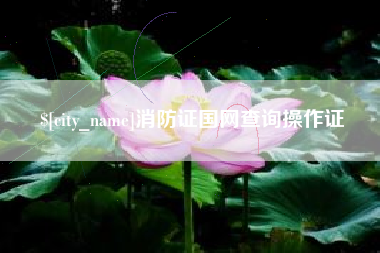 商洛消防证国网查询操作证