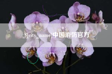 商洛中国消防官方