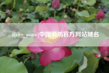 商洛中国消防官方网站域名