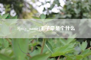 商洛王子豪是个什么