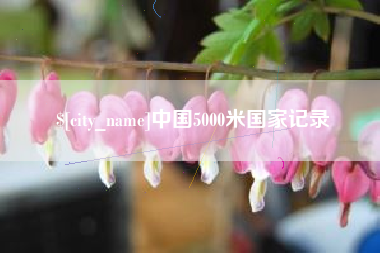 商洛中国5000米国家记录