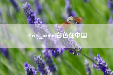 商洛白色在中国