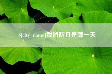 商洛我消防日是哪一天