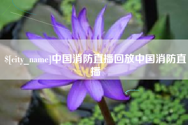 商洛中国消防直播回放中国消防直播