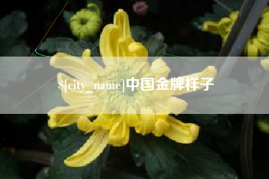 商洛中国金牌样子