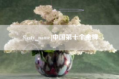 商洛中国第十个金牌