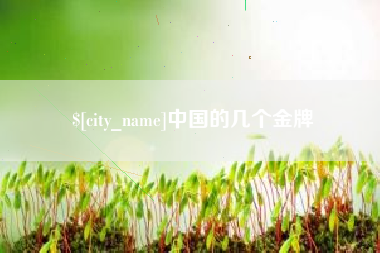商洛中国的几个金牌
