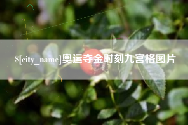 商洛奥运夺金时刻九宫格图片