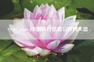 商洛中国执行信息公开网失信