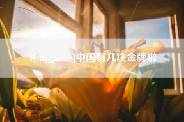 商洛中国有几块金牌啦