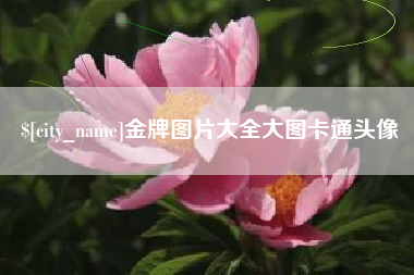 商洛金牌图片大全大图卡通头像