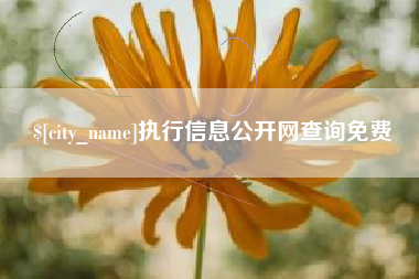 商洛执行信息公开网查询免费