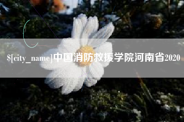 商洛中国消防救援学院河南省2020
