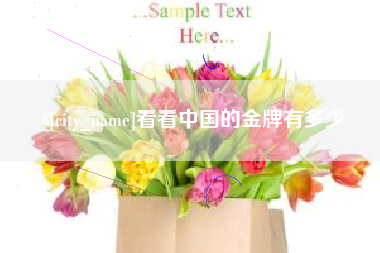 商洛看看中国的金牌有多少